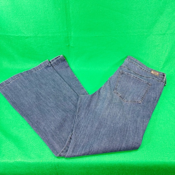 sofia by sofia vergara Denim - Sofia by Sofia Vergara Blue Flare Jeans Women’s Size 18
